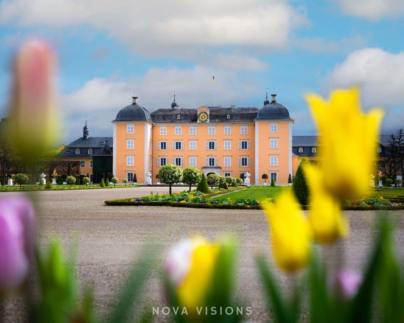 Blick auf Schloss Schwetzingen vom Schlossgarten aus