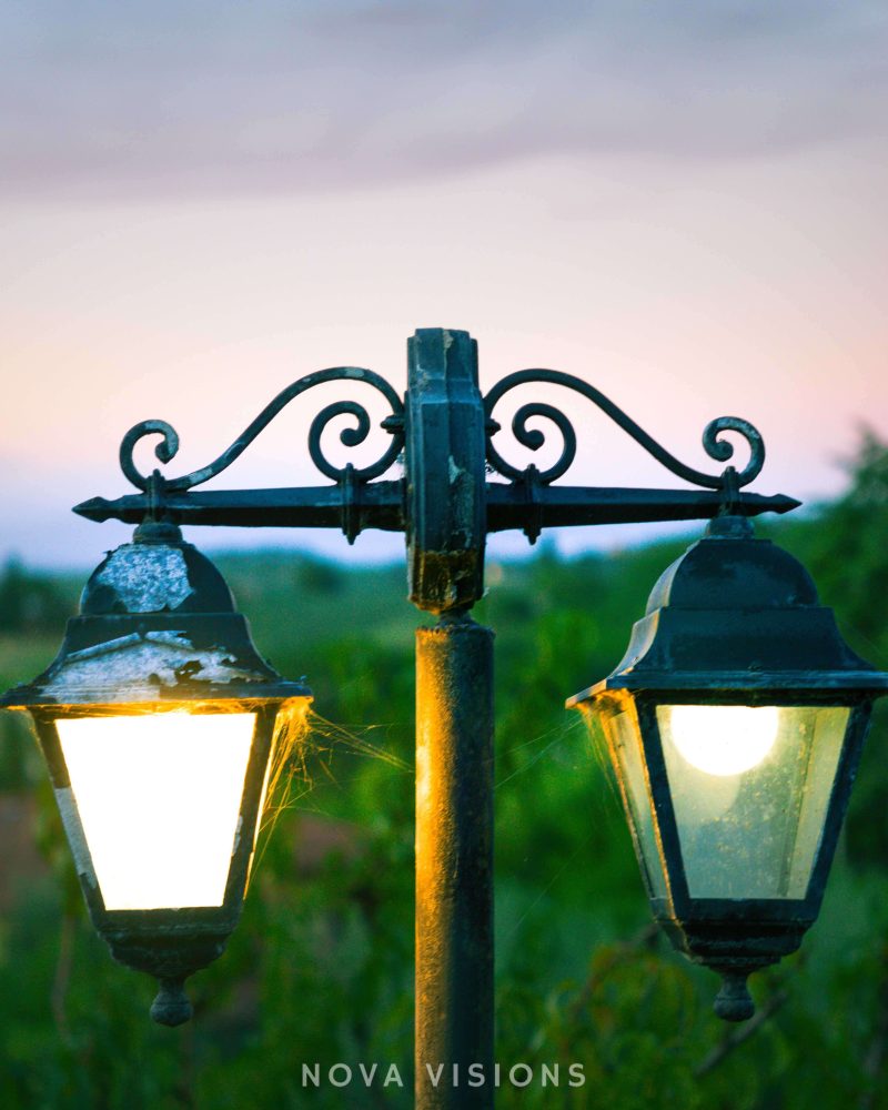 Laternen sorgen für märchenhafte Stimmung