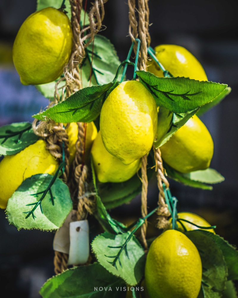 Das Symbol der Amalfiküste (hier leider in Plastik)