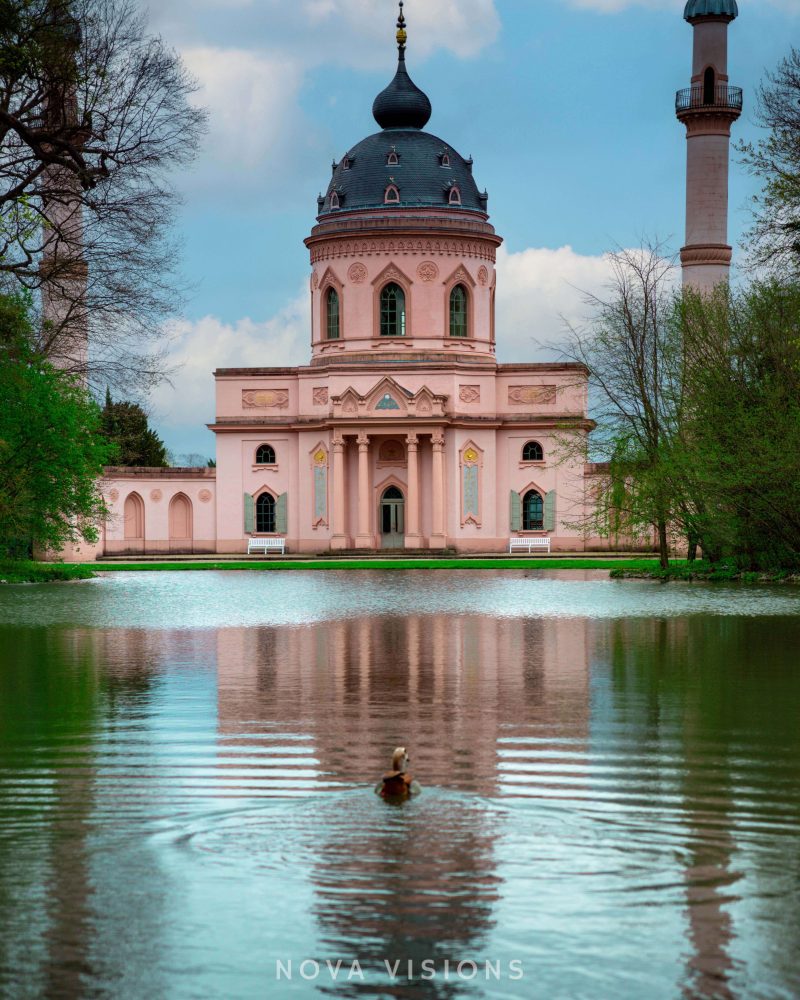 Ente schwimmt in Richtung Moschee