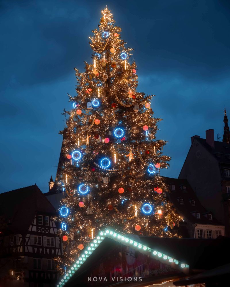 Der große Weihnachtsbaum