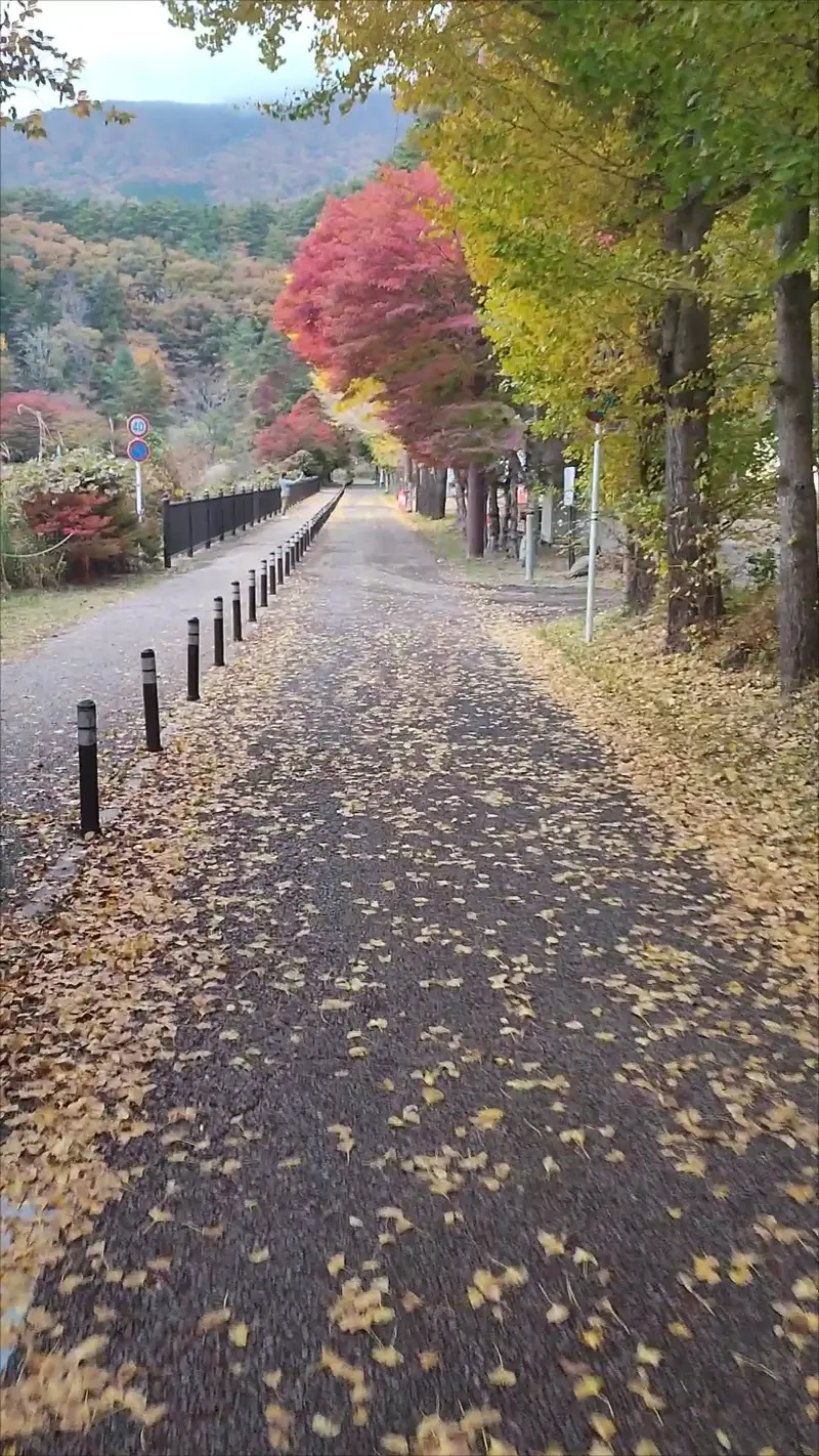 Kawaguchi-See Umrundung mit dem E-Bike