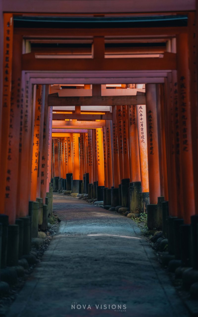 Die roten Torii des Fushimi Inari-Taisha Schreins.
