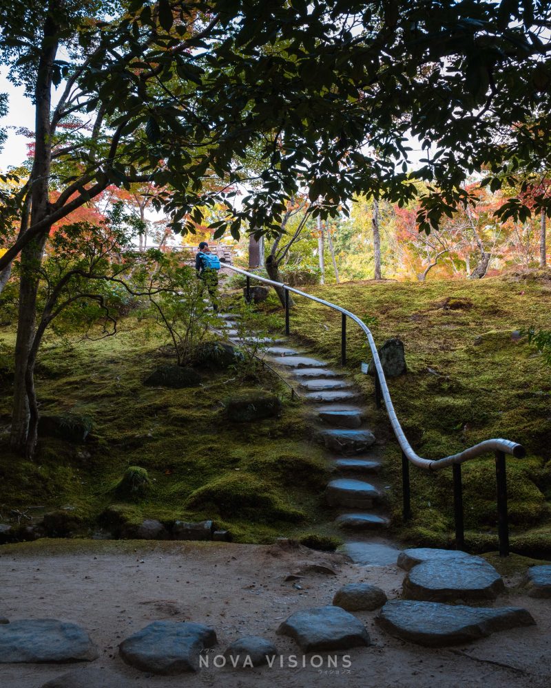 Ein Pfad über das Moos