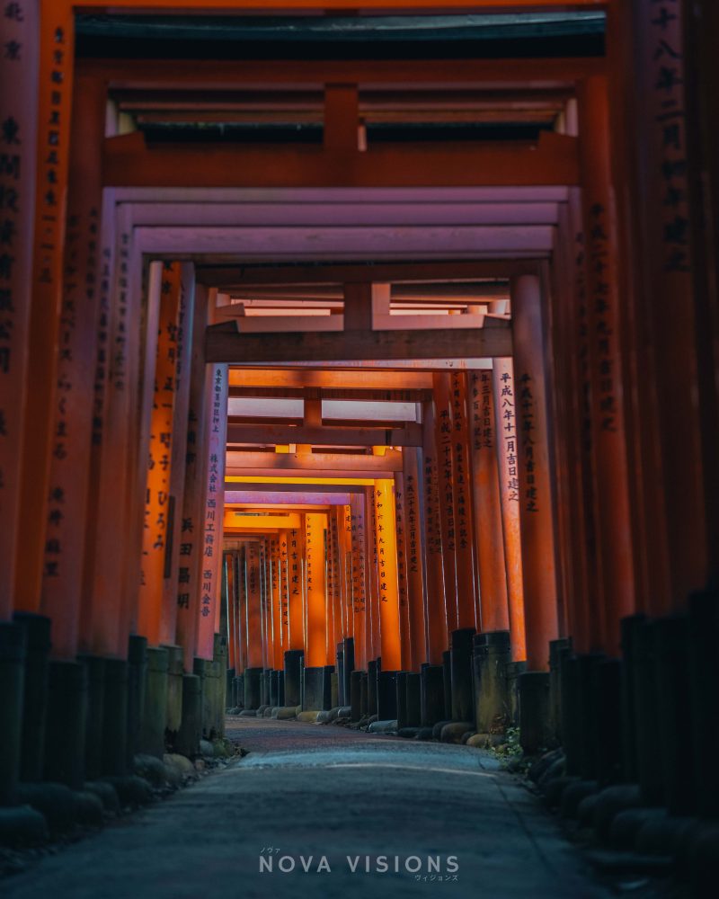 Etwa 2,5 Stunden dauert die Wanderung