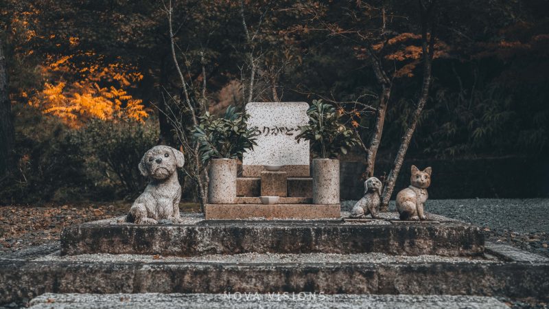 Friedhof hinter dem Tempel