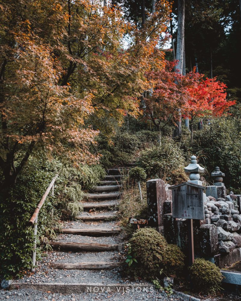 Herbstliche Stimmung