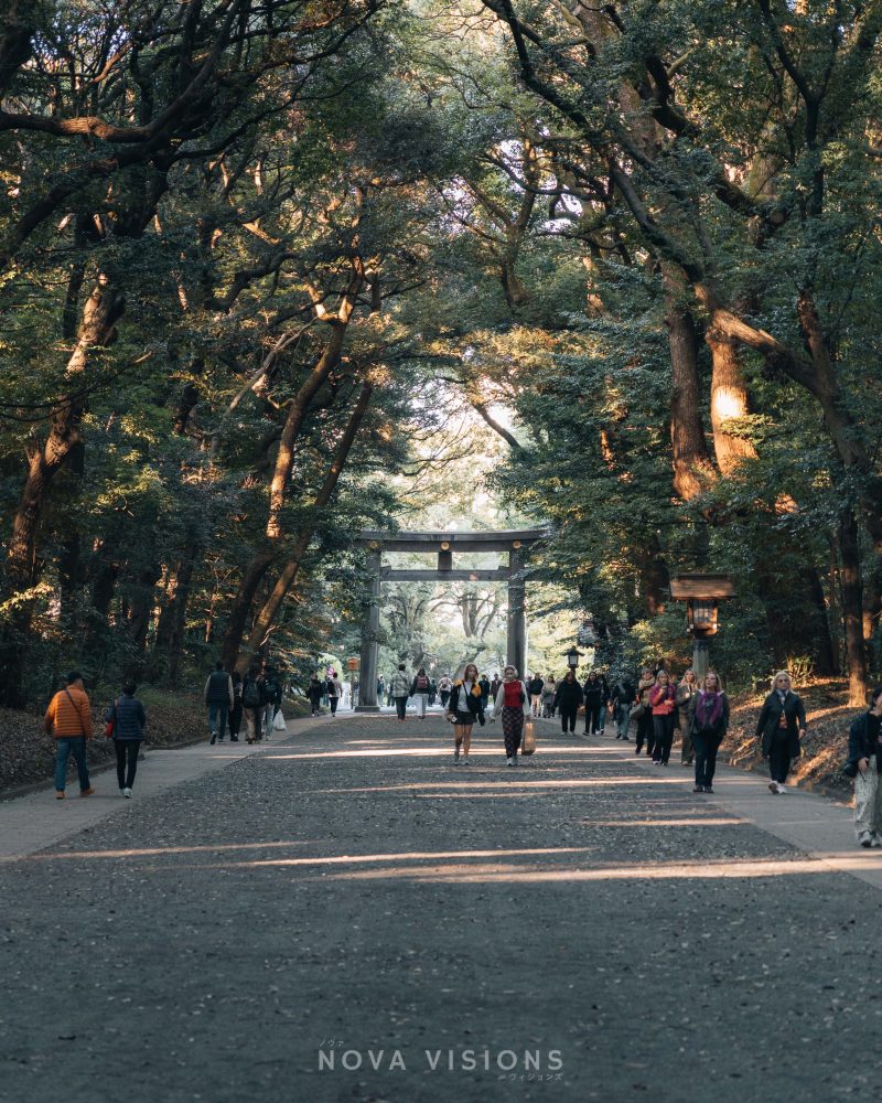 Im Wald auf dem Weg zum Meiji-Schrein
