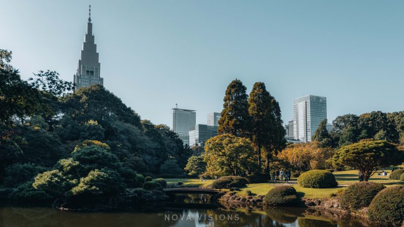 Shinjuku Gyoen Park in Shinjuku