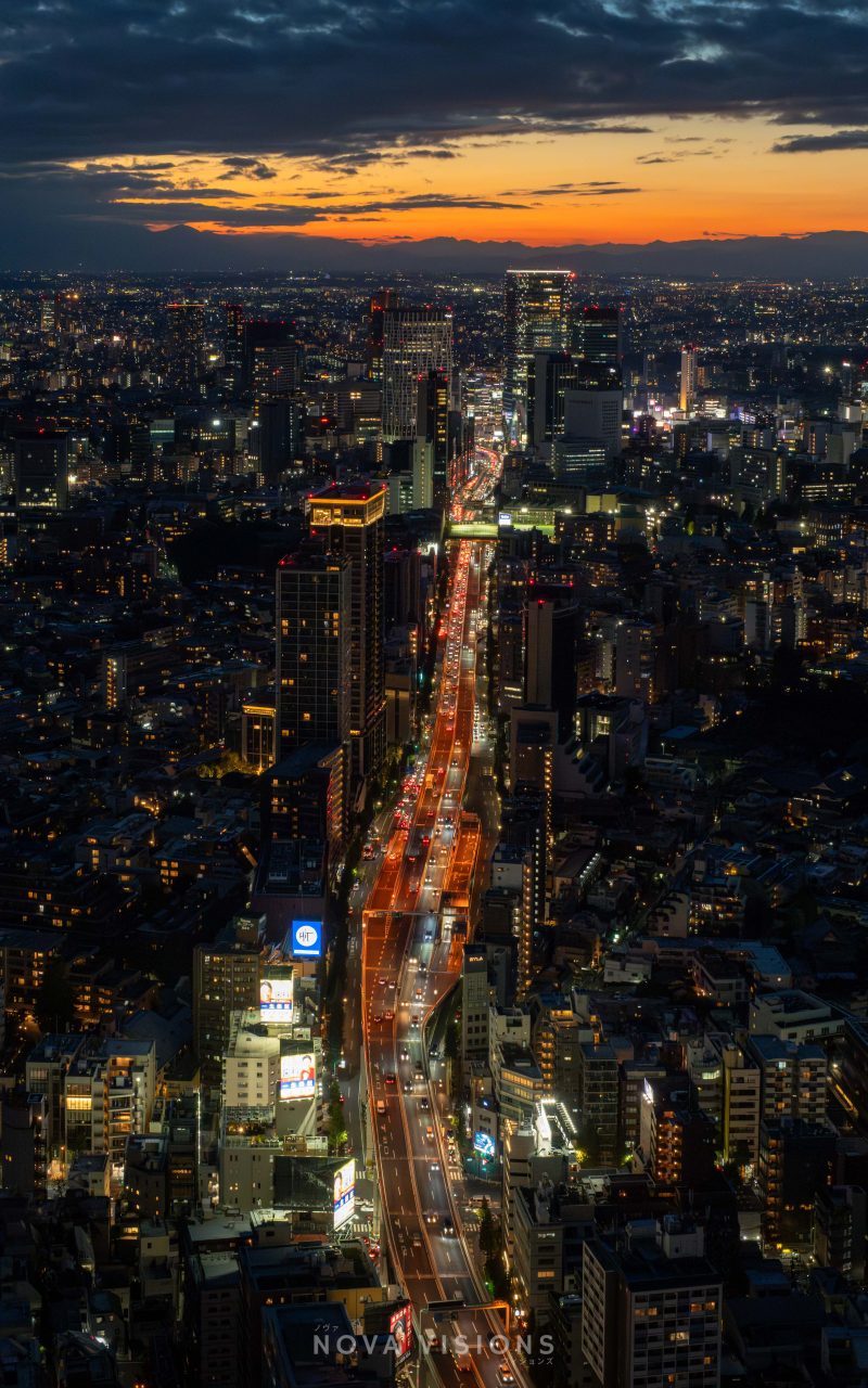 Tokyo Rush Hour